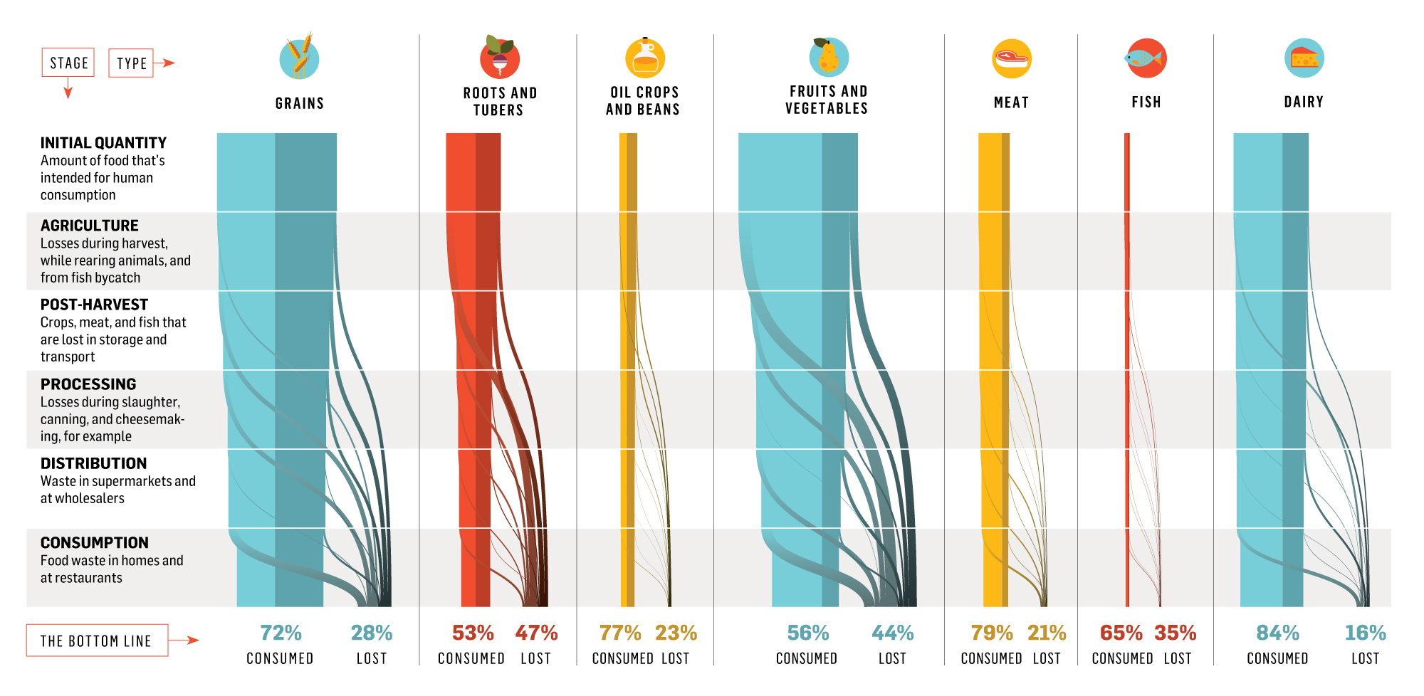 Infographic: How the world wastes food