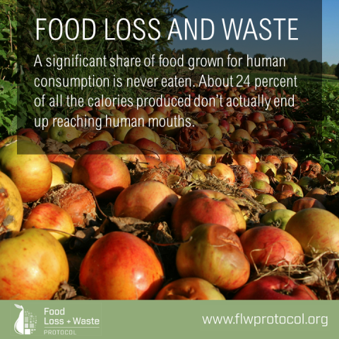 First-Ever Global Standard to Measure Food Loss and Waste Introduced
