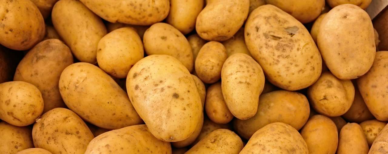 Duurzame verpakking houdt Sainsbury’s-aardappelen vers