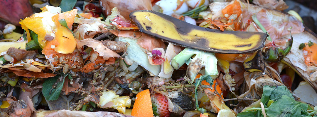 30 procent voedselverspilling in zorginstellingen Noordoost-Brabant