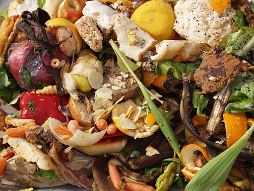 Europees parlement stemt massaal voor halveren voedselverspilling