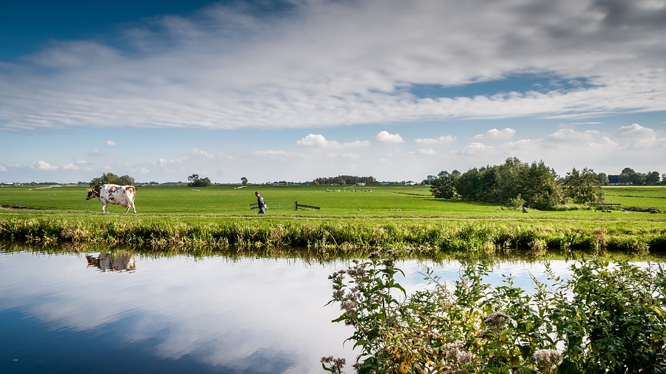 ‘Nederlandse boeren hebben laagste milieu-impact ter wereld’