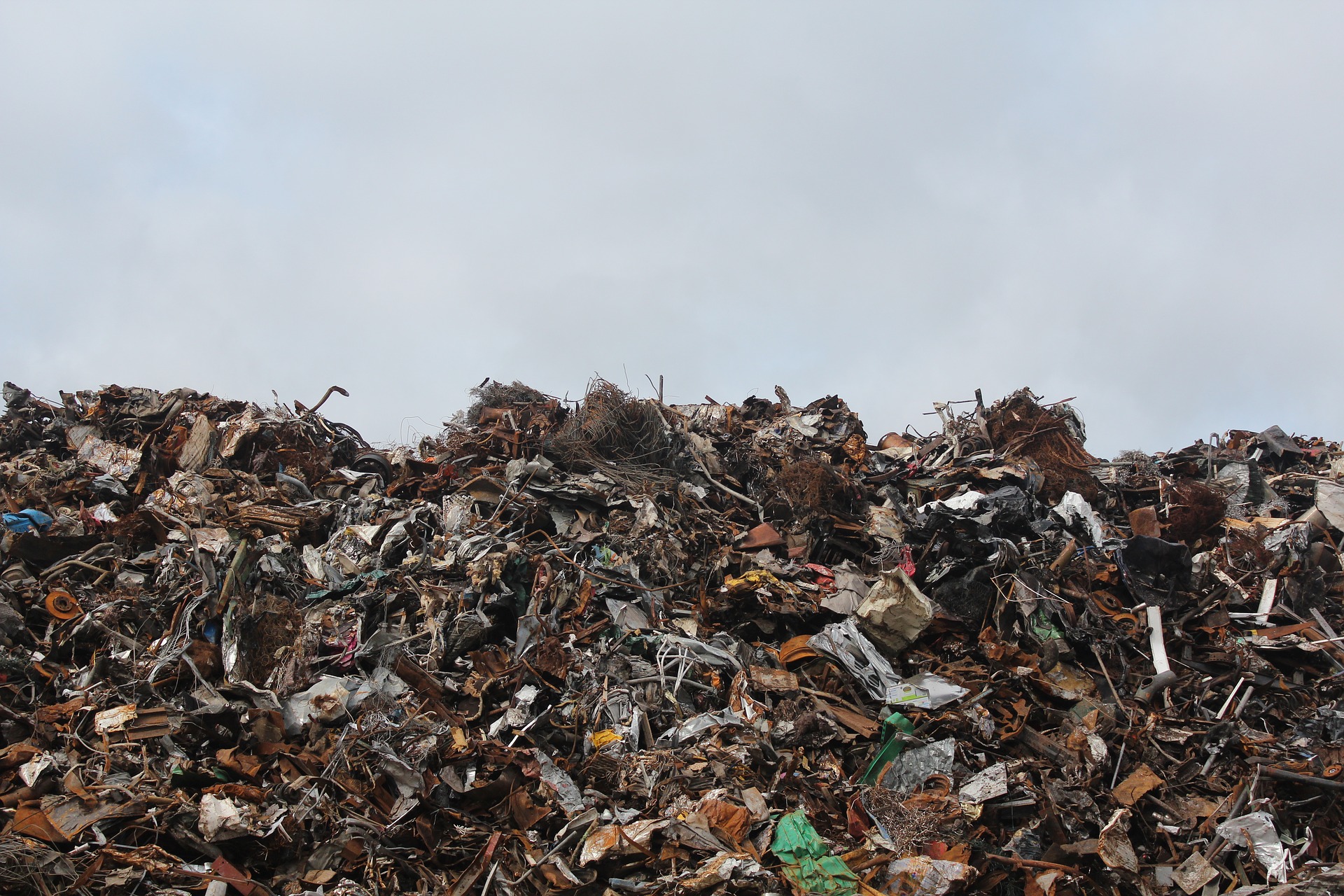 Wasteless: dynamisch prijzen effectief in de strijd tegen voedselverspilling