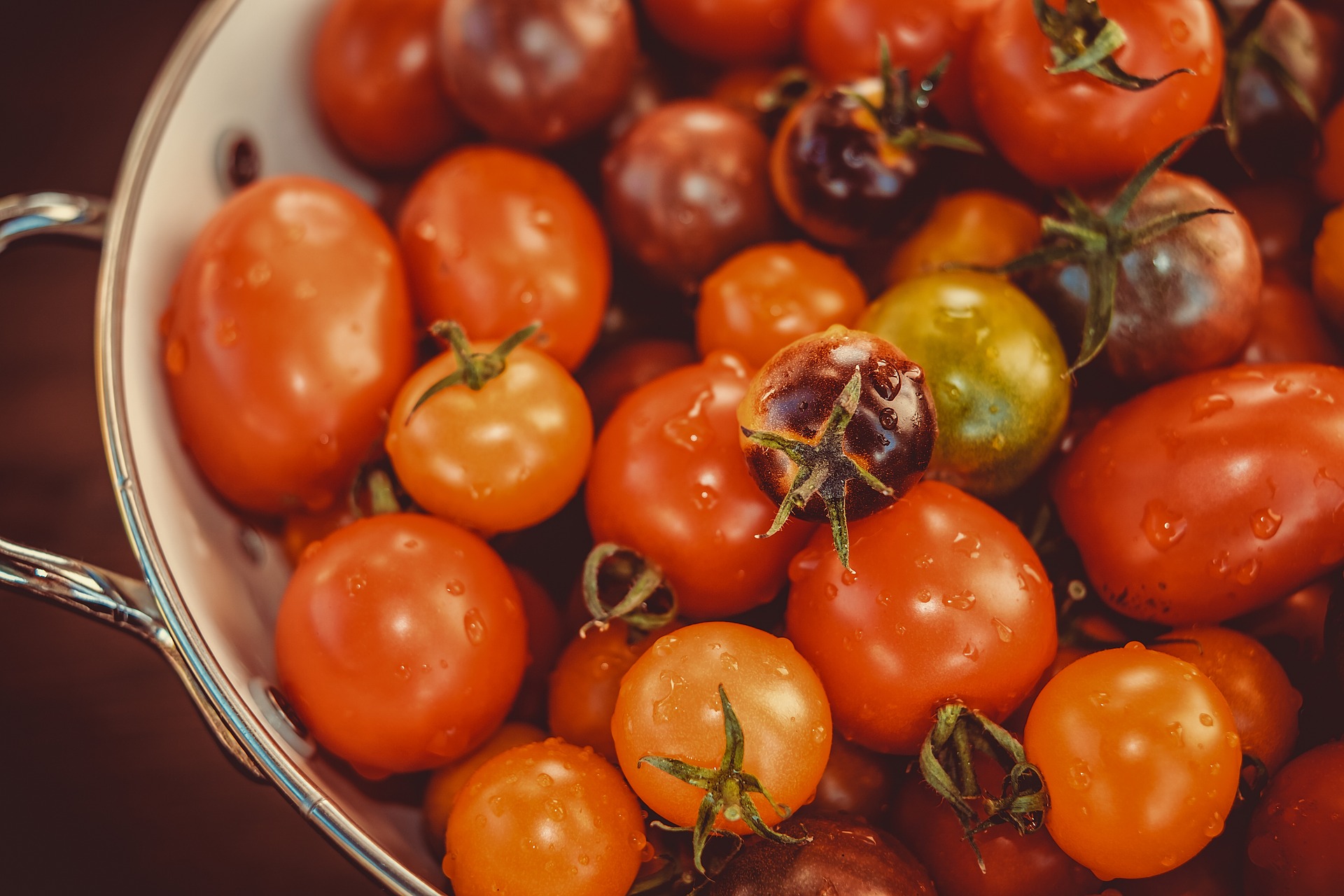 “Van misvormde tomaten kun je ook geweldige tomatensoep maken”
