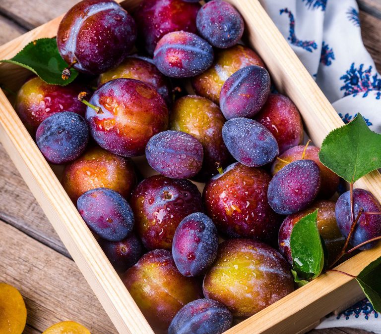 Oplossing tegen voedselverspilling in fruitcontainers wint Startup Funding Event 2019
