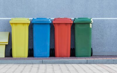 AI rubbish bin reduces food waste